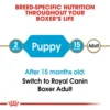 Royal Canin Boxer Puppy Dry Dog Food