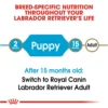 Royal Canin Labrador Retriever Puppy Dry Dog Food