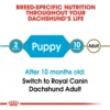 Dachshund Puppy Dry Dog Food