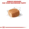 Royal Canin Dachshund Puppy Dry Dog Food