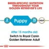 Golden Retriever Puppy Dry Dog Food