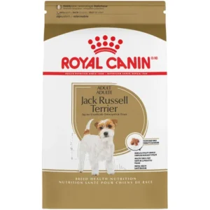 Jack Russell Terrier Food
