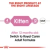 Kitten Dry Cat Food