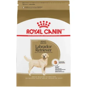 Royal Canin Labrador Retriever
