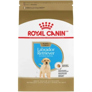 Royal Canin Labrador Retriever