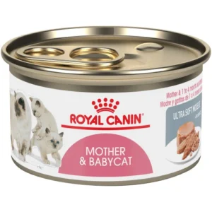 Royal Canin Mother and Babycat