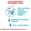 Royal Canin Size Health Nutrition